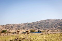 Copa_Master_Big_Trail_084